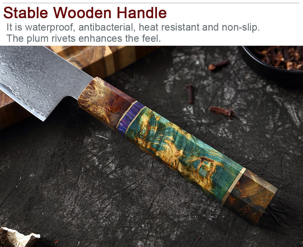 Multifunction Household High Carbon 67 Layers VG10 Damascus Kitchen Knife Set With Random Color Handle