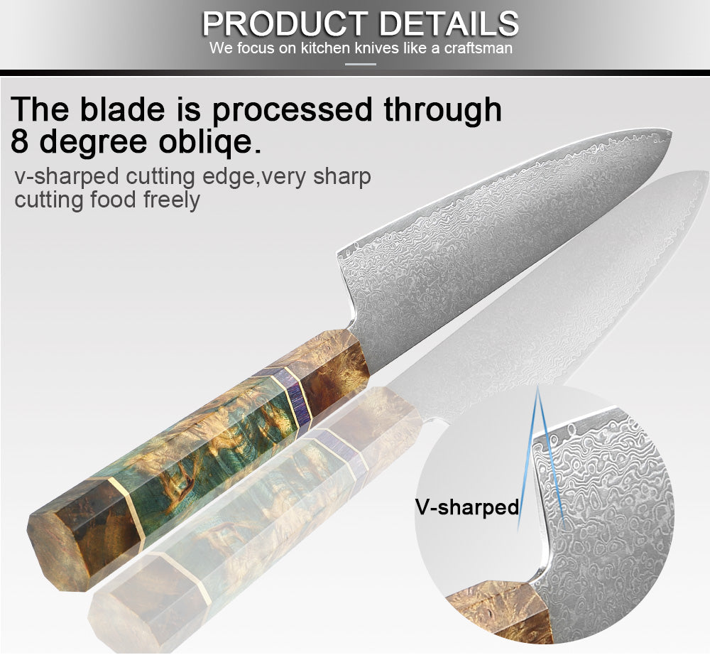 Multifunction Household High Carbon 67 Layers VG10 Damascus Kitchen Knife Set With Random Color Handle