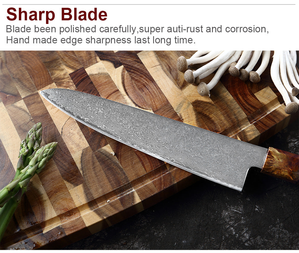Multifunction Household High Carbon 67 Layers VG10 Damascus Kitchen Knife Set With Random Color Handle