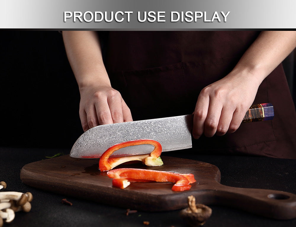 Multifunction Household High Carbon 67 Layers VG10 Damascus Kitchen Knife Set With Random Color Handle